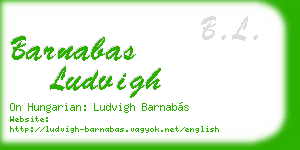 barnabas ludvigh business card